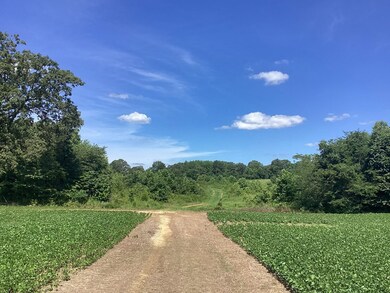 0 Swor Rd, Springville, TN 38256 - photo 7