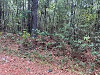 97825 TR PT 117 Hursey St, Jasper, TX 75951 - photo 6