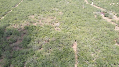 0 Cr 406 (E Off Of) unit County Road 406, Falfurrias, TX 78355 - photo 4