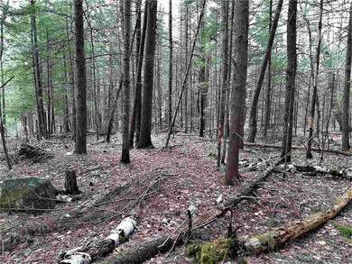 0 High Brook Rd unit Lot K-19 4857348, Thornton, NH 03285 - photo 2