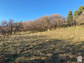 11 Bent Hollow Ln unit 1141, Sandy, UT 84092 - photo 4