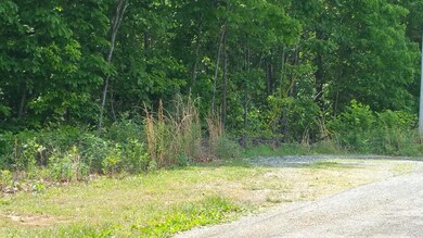 View from across the road from property