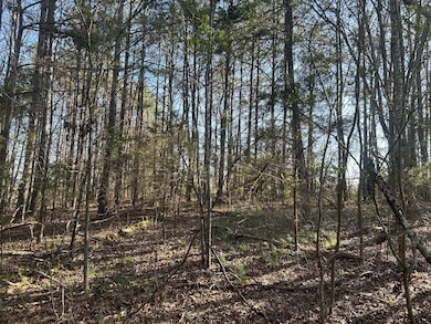 0 County Road 135 unit 25498670, Stevenson, AL 35772 - photo 6