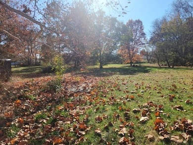 710 W Mason St, Odessa, MO 64076 - photo 4