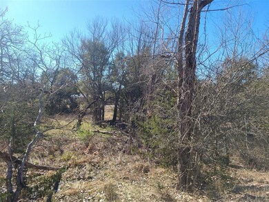 7117 Cedar Valley Dr, Whitney, TX 76692 - photo 4