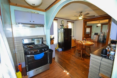 332 Coe St, Cashton, WI 54619 - photo 3