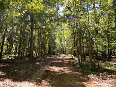 0 Reynolds Rd, Tensaw, AL 36579 - photo 4