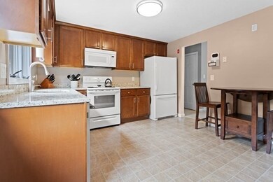 146 Chestnut St, North Easton, MA 02356 - photo 7