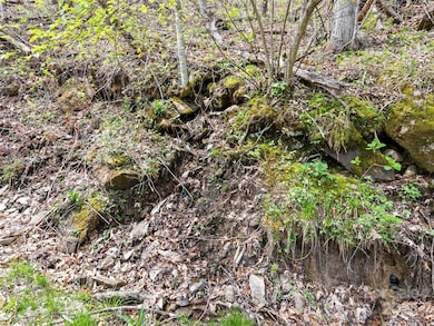 0 Laurel Ridge Dr unit CAR4250999, Waynesville, NC 28786 - photo 4