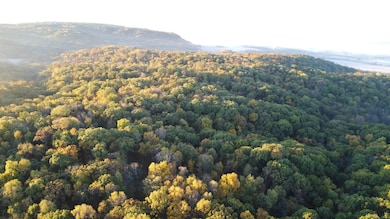 78+/- Acres TBD W Blanding Rd, Hanover, IL 61041 - photo 7