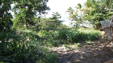 0 Sandy Beach Beachfront Lot unit MFRPR9102381, Rincon, PR 00677 - photo 2