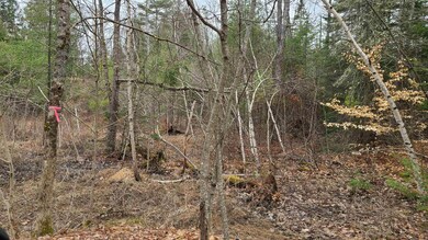00 Haines Hill Rd unit Tract 1, Avery Lot, Wolfeboro, NH 03894 - photo 2
