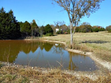 Pond View 2