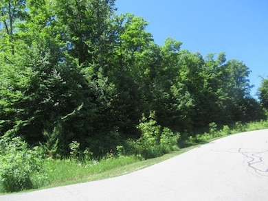 Development Chapel Hill Dr unit All Avail HOA Lots, Bear Creek Township, MI 49770 - photo 5