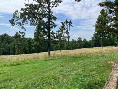 385 Walnut Grove Cir, Mammoth Spring, AR 72554 - photo 2