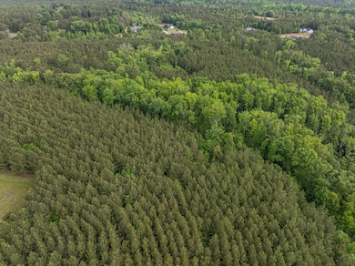 5750 Cobbham Rd, Appling, GA 30802 - photo 7