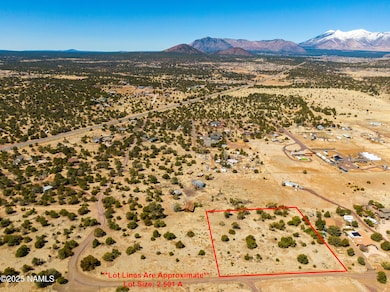 2.501 Acre Parcel