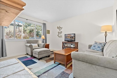 1114 Timbercreek Dr unit 41, Grand Ledge, MI 48837 - photo 7