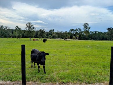 0 Peterson Rd, Pierson, FL 32180 - photo 5