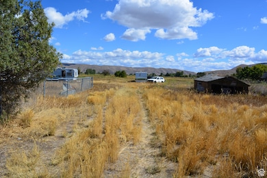 4462 Dingle Rd, Dingle, ID 83233 - photo 4