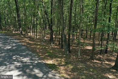 0 Walnut Ridge Rd SE unit MDAL2011226, Oldtown, MD 21555 - photo 5