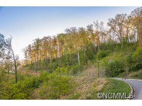 Beaucatcher Heights