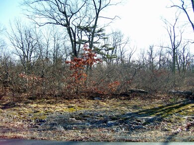 102 Blue Heron Way, Hawley, PA 18428 - photo 4