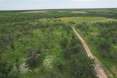 Tbd Fm 600, Anson, TX 79501 - photo 7