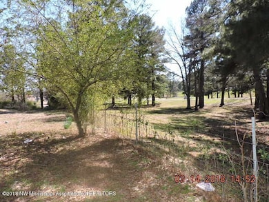 860 E Commerce St, Hernando, MS 38632 - photo 4
