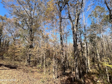 Lot 171 Indian Park 5