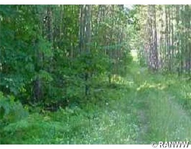 Lot 7 Mallard Lake Rd, Webster, WI 54893 - photo 2