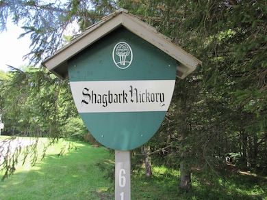 0 Birch Hill Rd unit 1 Shagbark Hickory, Winhall, VT 05340 - photo 3