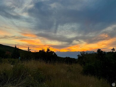 View of mountain background