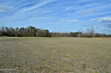 60.61 Acre Hwy 117 S, Burgaw, NC 28425 - photo 6