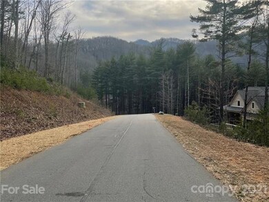 29 Tallwood Rd, Leicester, NC 28748 - photo 6