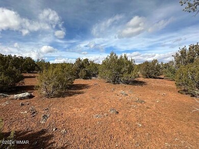 233 Cr 8088 Hohokam Rd unit 8088, Concho, AZ 85924 - photo 3