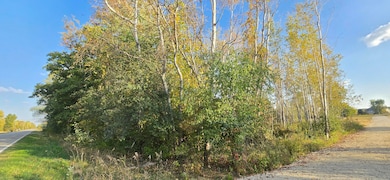 8692 E Baseline Rd, Mount Pleasant, MI 48858 - photo 6