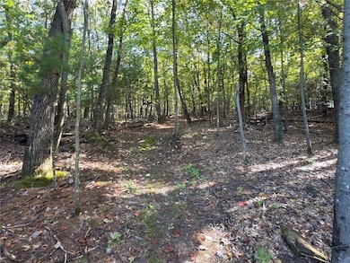 N8188 954th St, Colfax, WI 54730 - photo 4