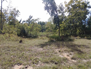 10056 E State Road 54, Bloomfield, IN 47424 - photo 7