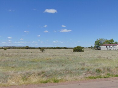 0 N 16th St unit 213147, Show Low, AZ 85901 - photo 4