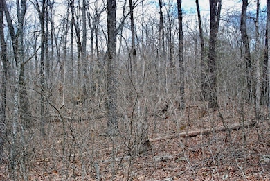 0 Tbd Ar-16, Pettigrew, AR 72752 - photo 3