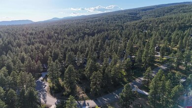 91 Engine Creek Ct, Durango, CO 81301 - photo 4