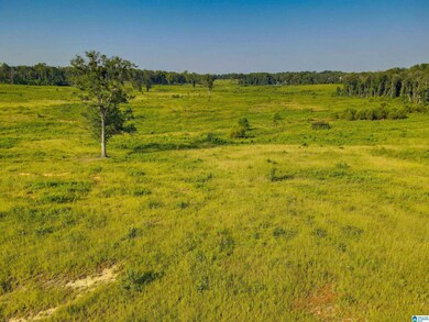 0 New Harmony Rd unit 1359959, Clanton, AL 35045 - photo 7