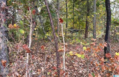 0 County Road 65 unit 1 21378497, Roanoke, AL 36274 - photo 3