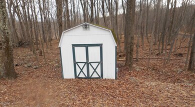 363 Swallow Cir, Lehman Township, PA 18324 - photo 4