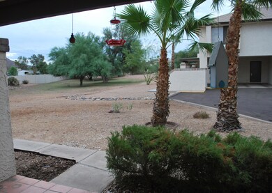 2-view from patio