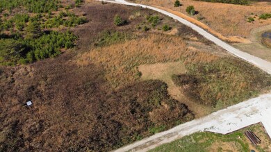 dji_fly_20241111_111554_608_173134186572