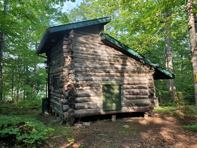 7 Cabin toward fire ring