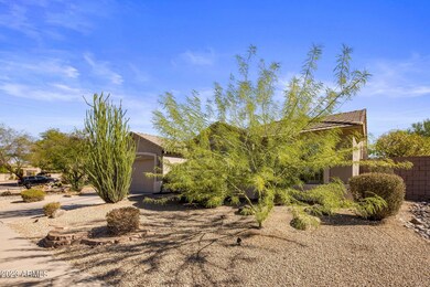 Lush Landscaping