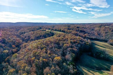 31025 Highway 263, Mountain View, AR 72560 - photo 5